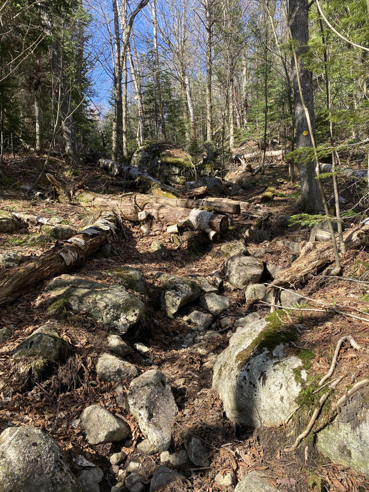 Leach Trail to Dial, Adirondacks