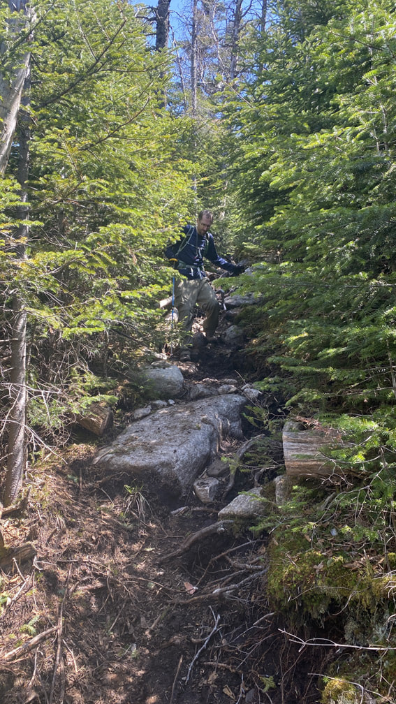 Trail descending from Dial towards Nippletop