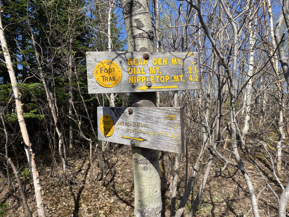 Sign telling you to turn left towards Bear Den Mountain, Adirondacks