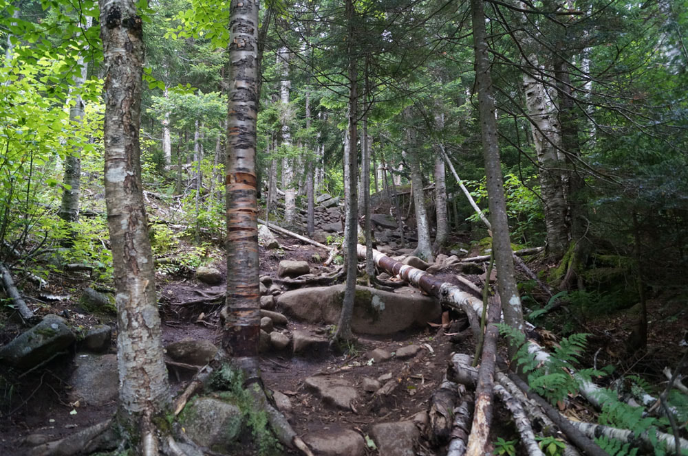 Rocky Path on Cascade and Porter, Adirondacks